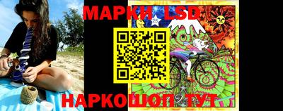 Альфа ПВП Дубна