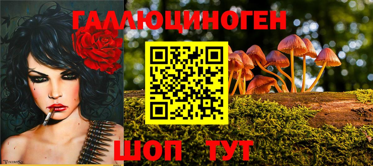 Лесной  Вход с VPN  Конопля  Меф кристаллы  ГАШИШ  МЕТ 