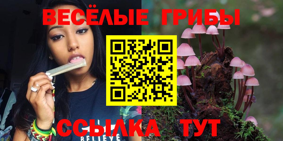 Галлюциногенные грибы Psilocybe  Вход с VPN  Лесной 